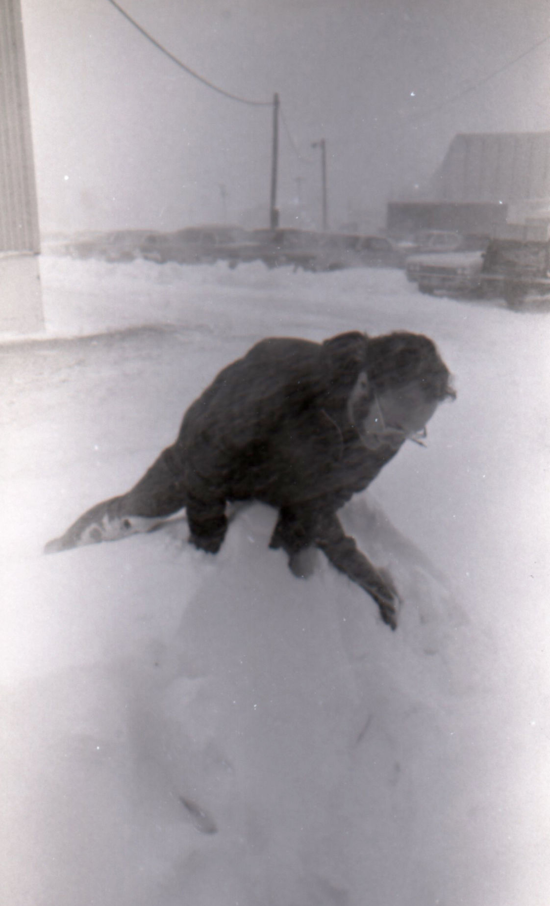 April 1973 snowfall